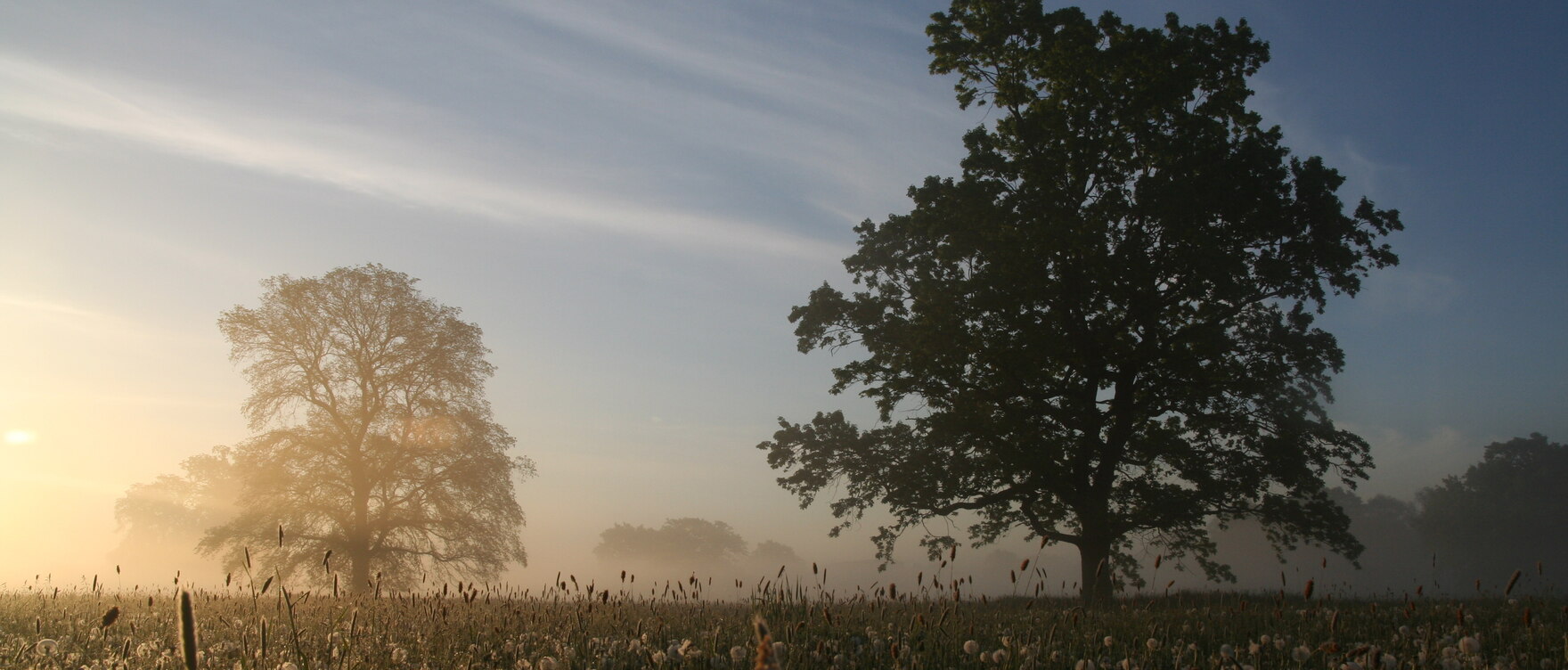 Sonnenaufgang in der Muldenaue bei Wurzen