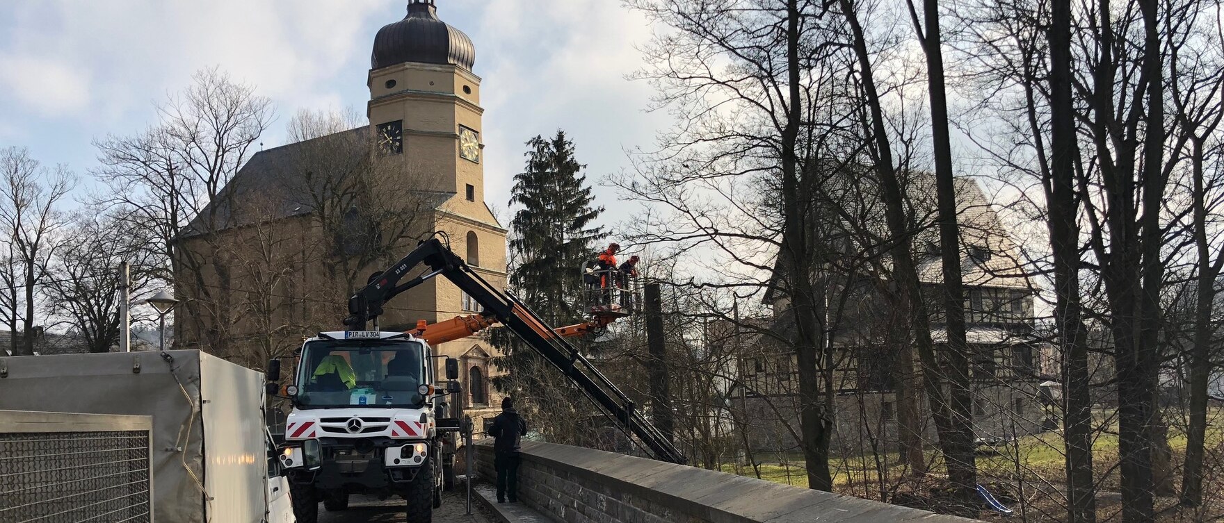 Flussmeisterei Plauen bei Baumpflegearbeiten