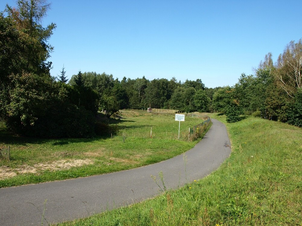 Asphaltierter Weg durch eine Wiese, ringsherum Bäume