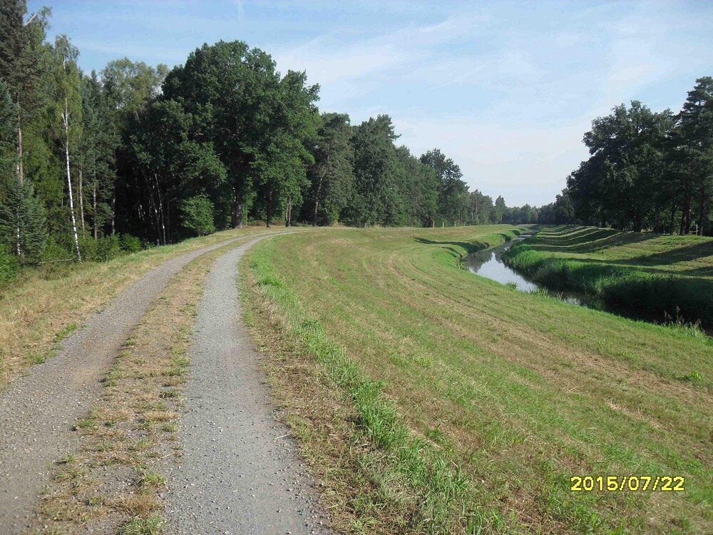 Schotterweg , zweispurig entlang eines Waldes, rechts davon ein Fluss parallel zum Weg