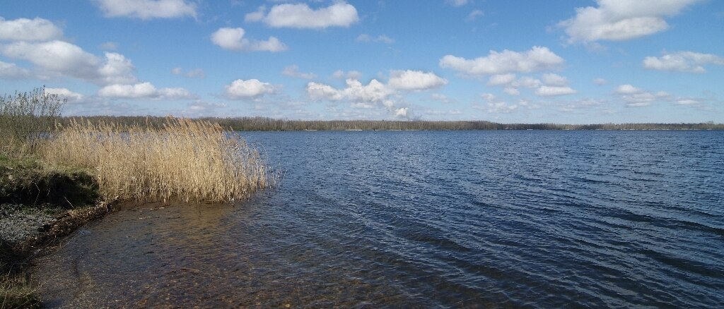 Blick auf einen See mit blauem Himmel und ein paar weißen Wolken