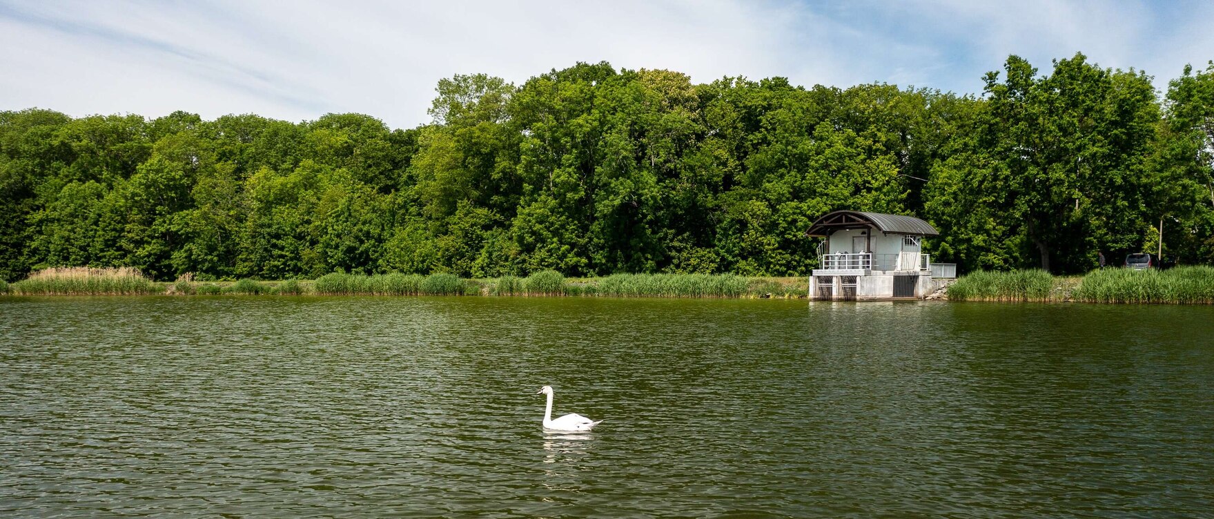 Blick auf einen See, in dem ein Schwan schwimmt und einem Häuschen am Ufer, dahinter Wald und blauer Himmel