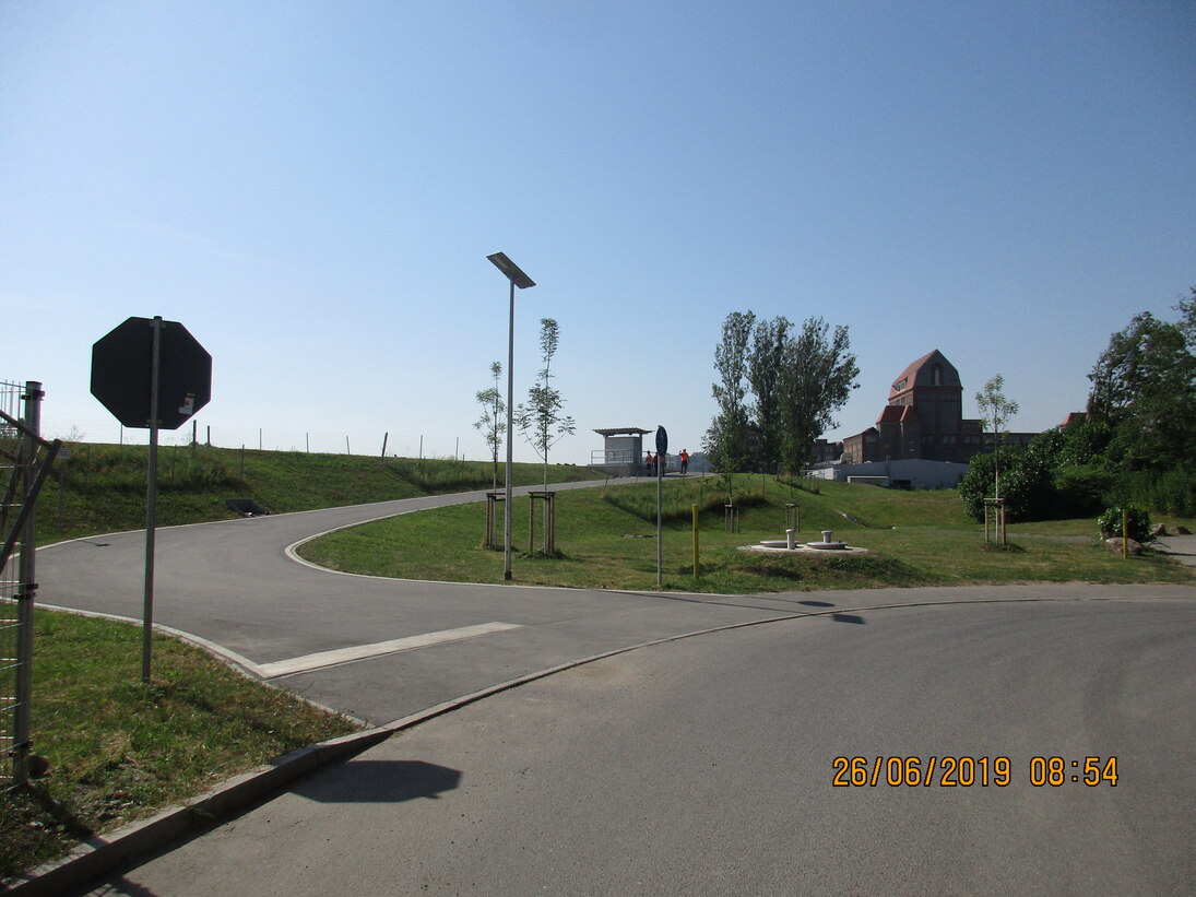 Blick auf eine asphaltierte Straße, umgeben von Wiesen mit jungen Bäumen