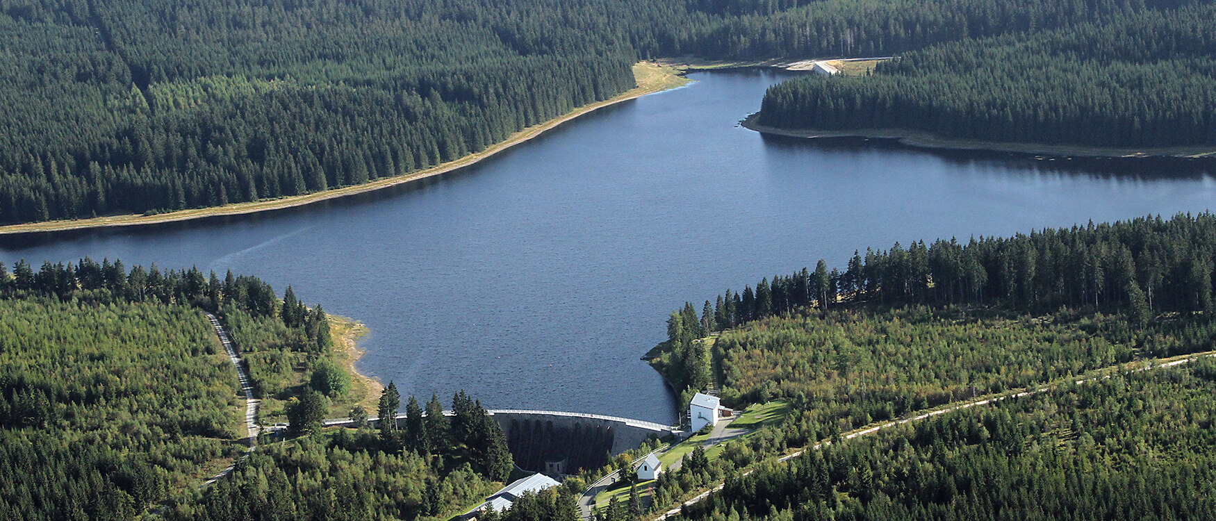 Blick auf einen See, umgeben von Wald