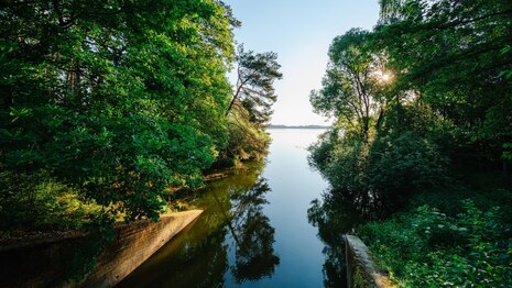 Blick auf Wasser zwischen Bäumen