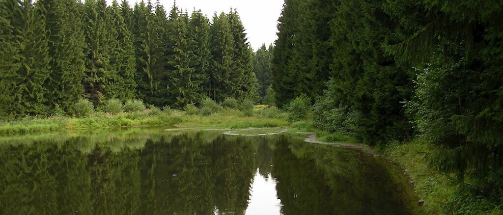 Blick auf das Vorbecken Saidenbach 1 des Talsperre Saidenbach